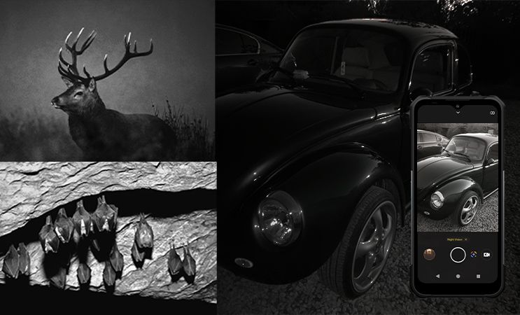 HAMMER noktowizja night vision